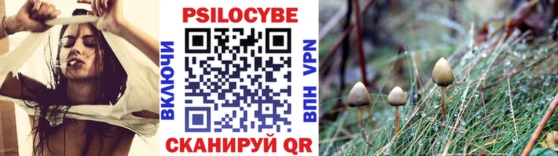Галлюциногенные грибы Cubensis  купить  цена  Новый Уренгой 