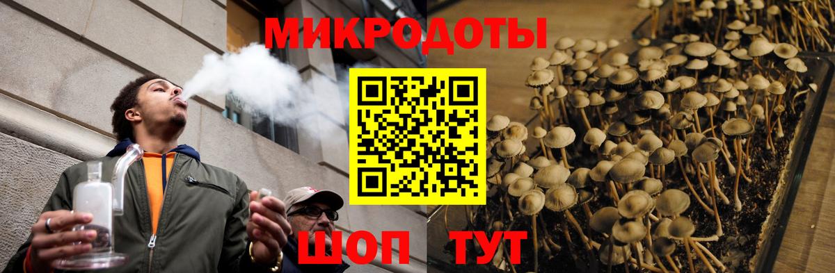 Галлюциногенные грибы MAGIC MUSHROOMS Новый Уренгой