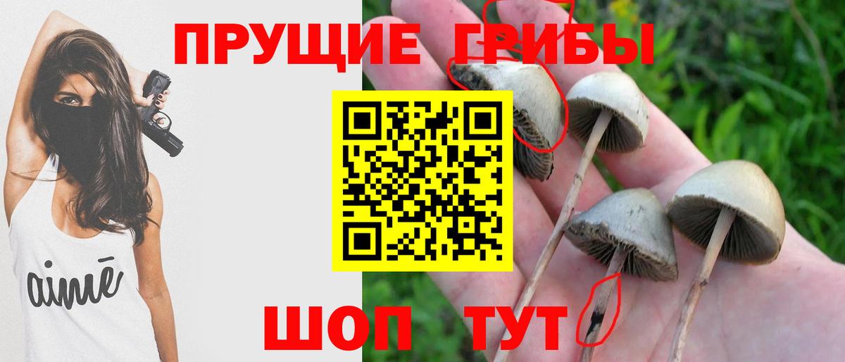 Псилоцибиновые грибы Cubensis  Вход с VPN  Галлюциногенные грибы MAGIC MUSHROOMS  Новый Уренгой 