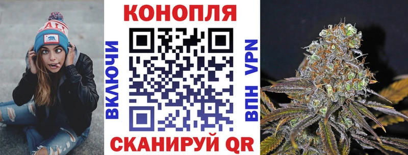 Бошки Шишки план Новый Уренгой